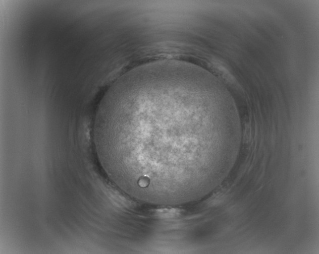 X0000068750363200605051546