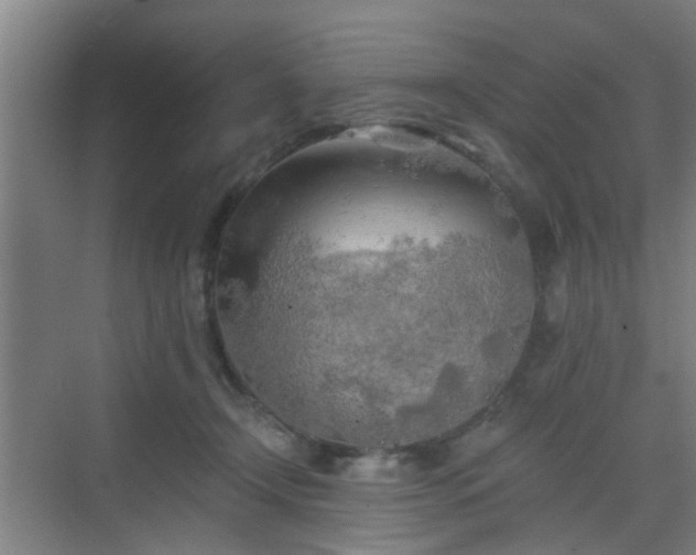 X0000068750366200605051546