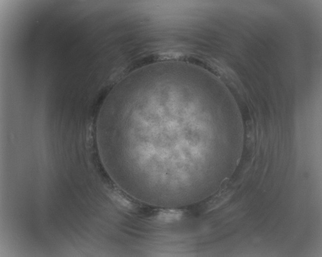 X0000068750369200605051546