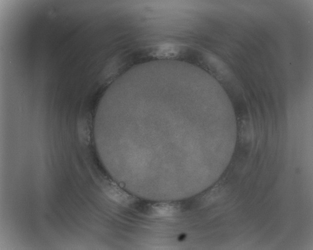 X0000068750370200605051546