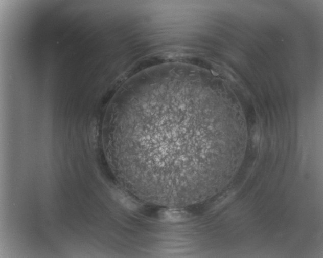 X0000068750372200605051546