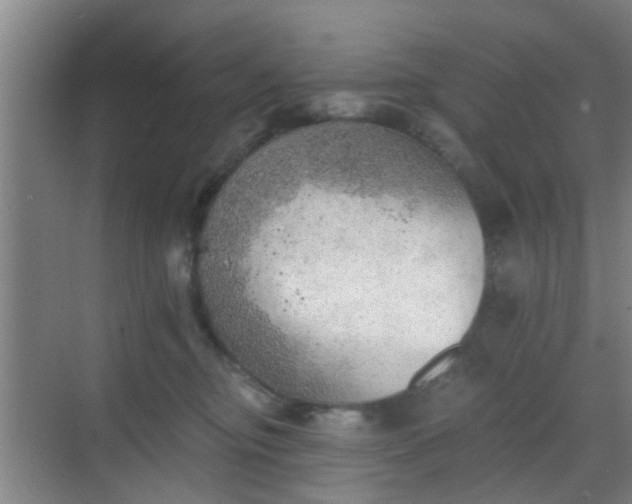 X0000068750374200605051546