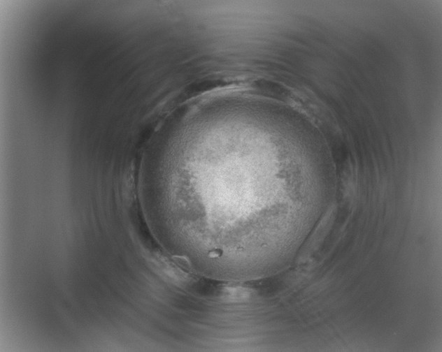 X0000068750376200605051546