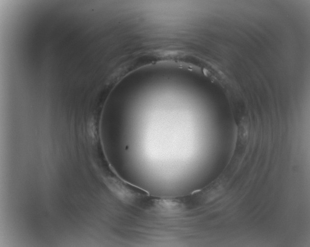 X0000068750380200605051546