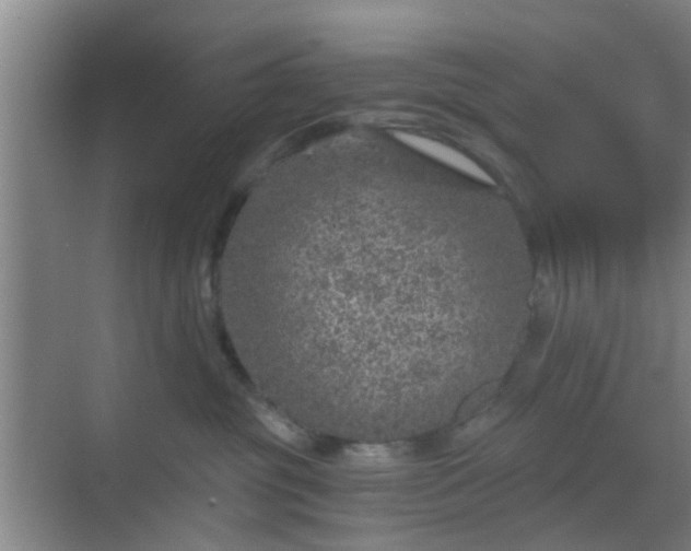 X0000068750381200605051546