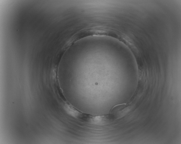 X0000068750382200605051546