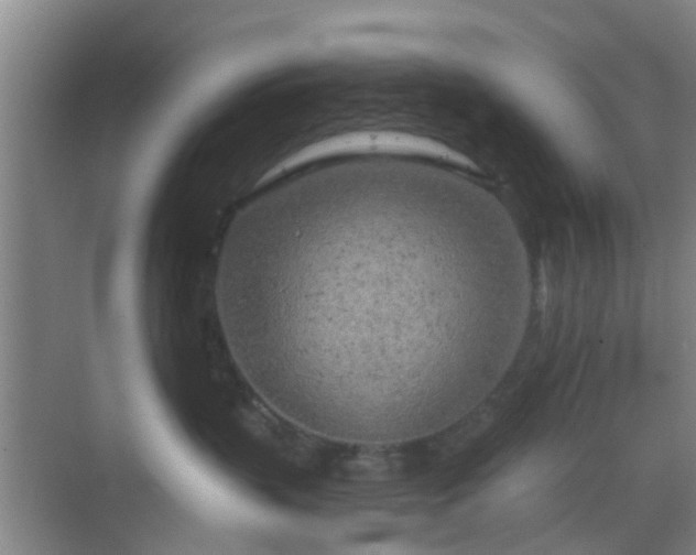 X0000068750383200605051546