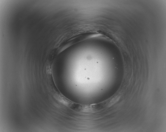 X0000068750384200605051546