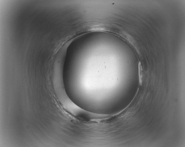 X0000068750385200605051545