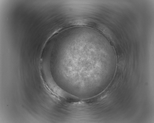 X0000068750386200605051545