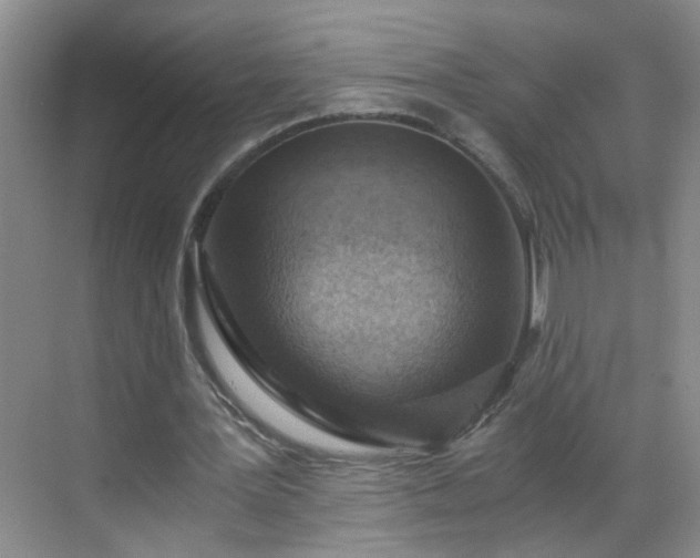 X0000068750387200605051545