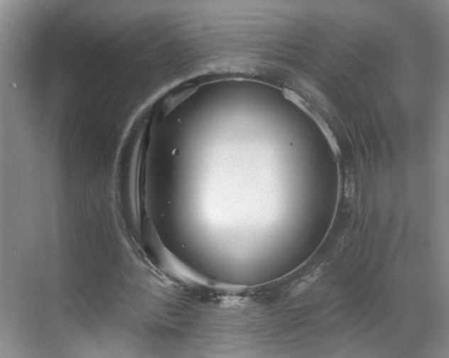 X0000068750388200605051545