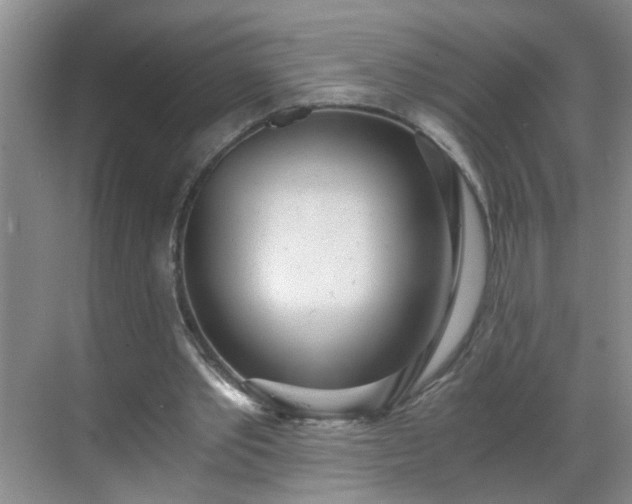 X0000068750389200605051545