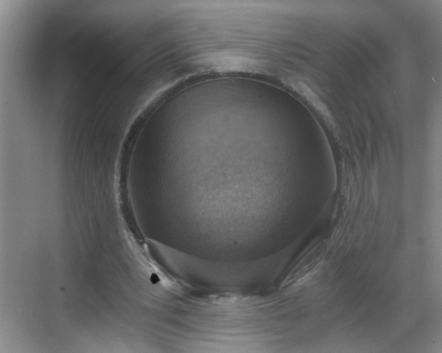 X0000068750391200605051545