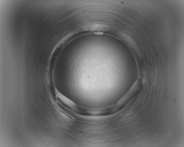 X0000068750392200605051545