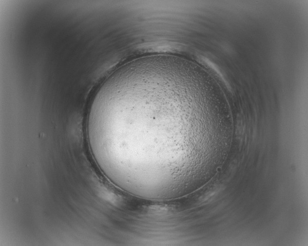 X0000068750394200605051545