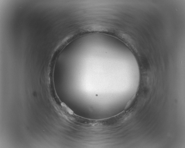 X0000068750395200605051545