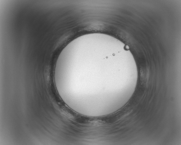 X0000068750396200605051545