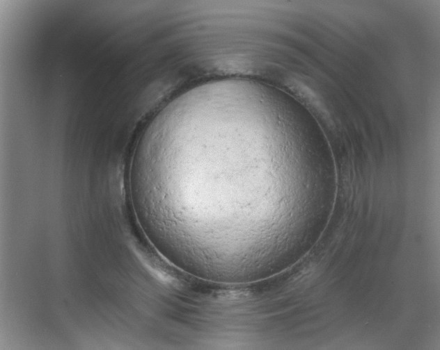 X0000068750398200605051545