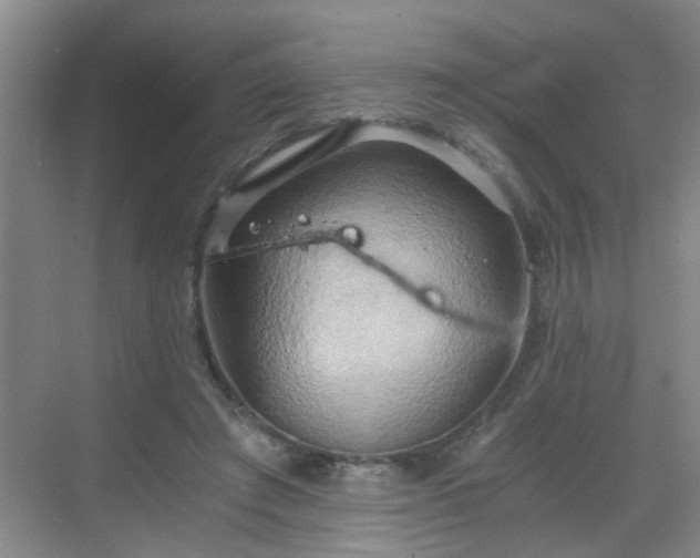 X0000068750401200605051545