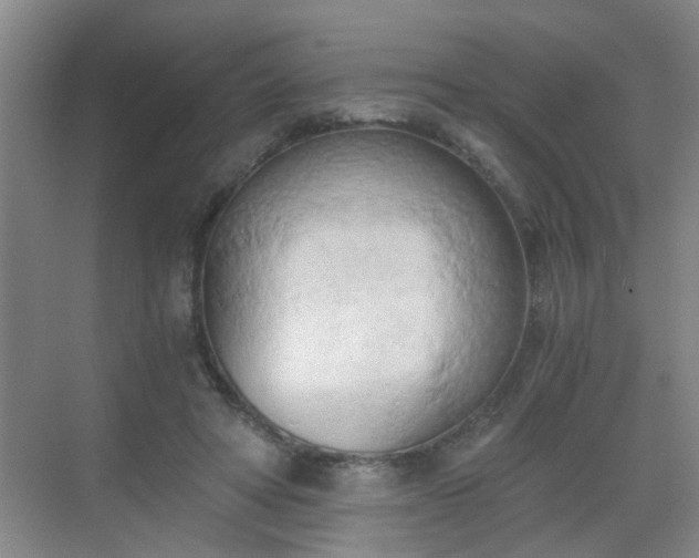 X0000068750402200605051545