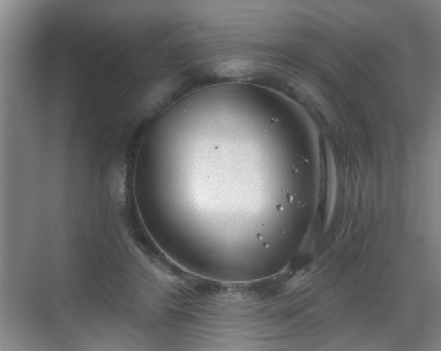 X0000068750404200605051545