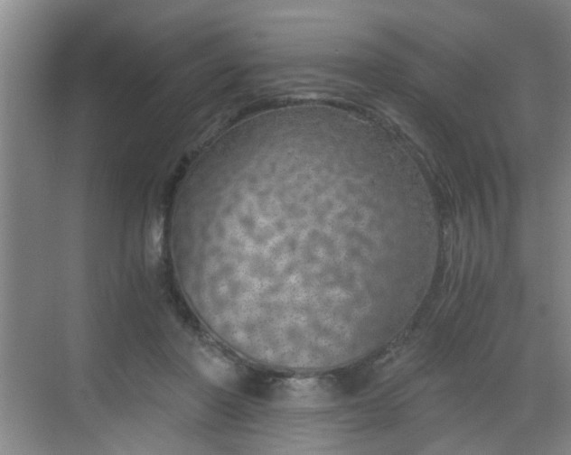 X0000068750406200605051545