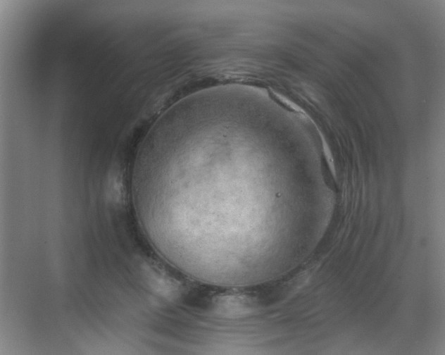 X0000068750408200605051545