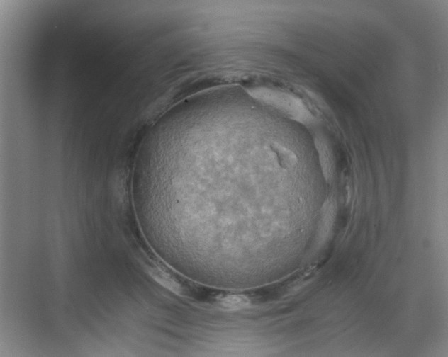 X0000068750409200605051545