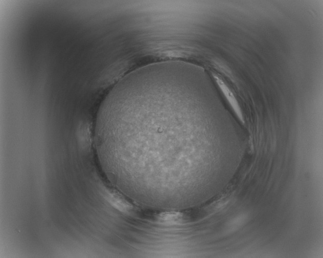 X0000068750410200605051545