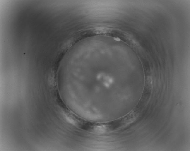 X0000068750411200605051545