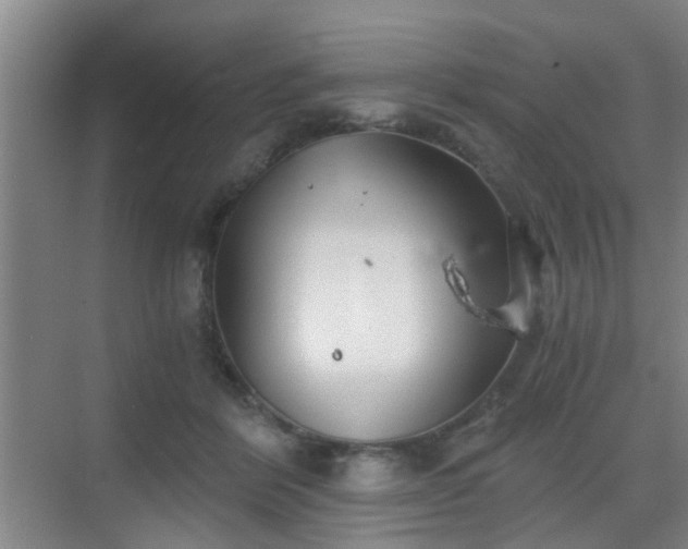 X0000068750412200605051545