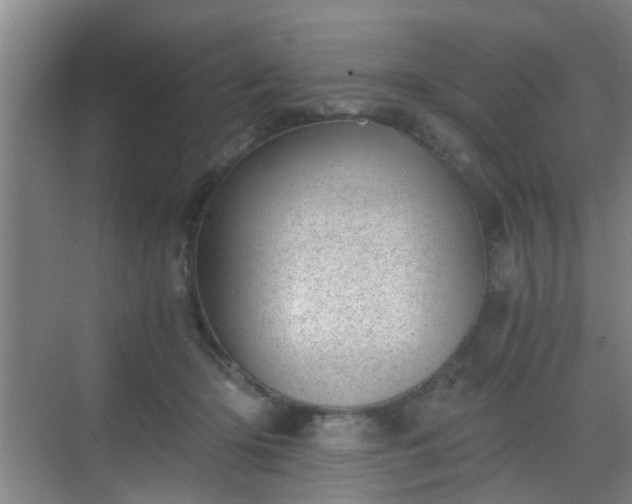 X0000068750414200605051545