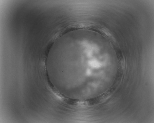 X0000068750415200605051545