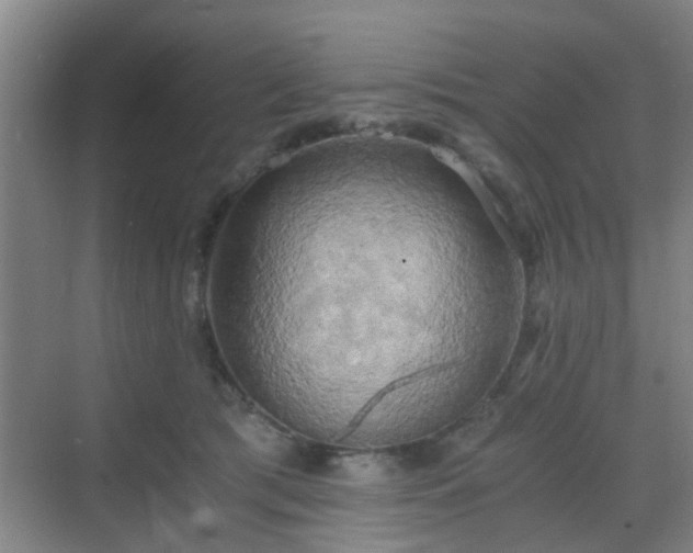 X0000068750417200605051545