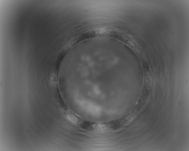 X0000068750419200605051545