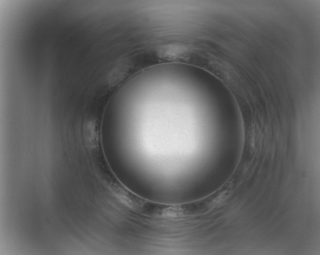 X0000068750420200605051545