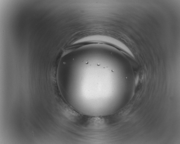 X0000068750421200605051545