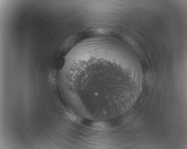 X0000068750423200605051545