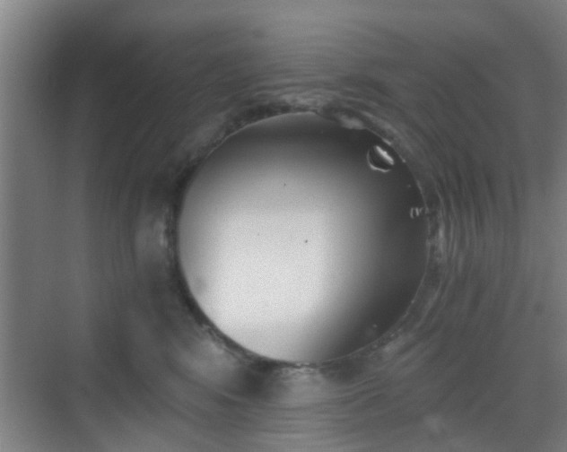 X0000068750424200605051545