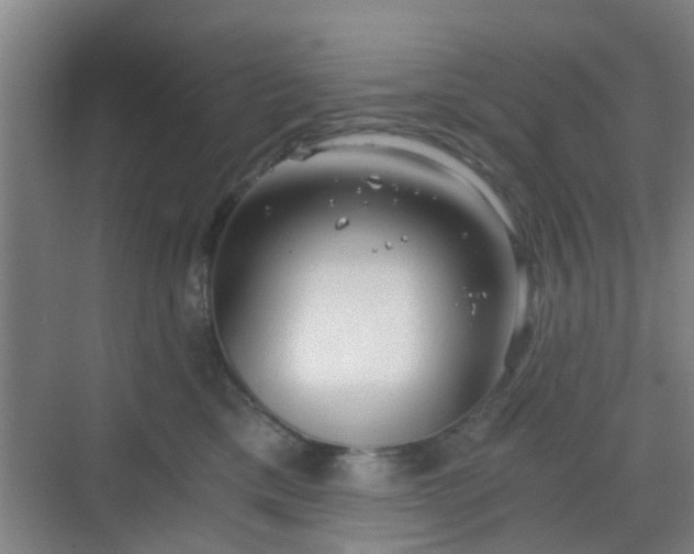 X0000068750425200605051545