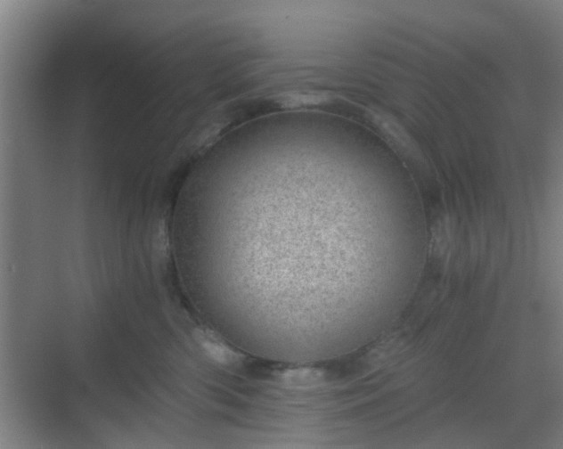 X0000068750426200605051545