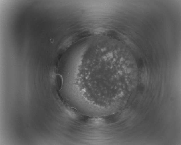 X0000068750427200605051545