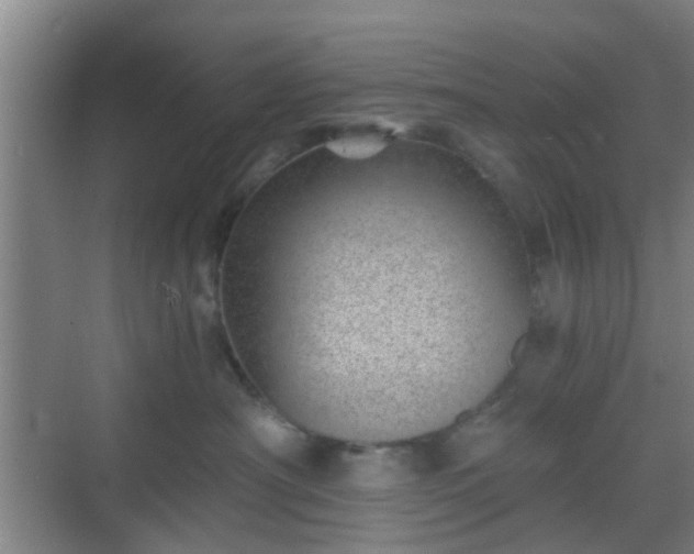 X0000068750430200605051545