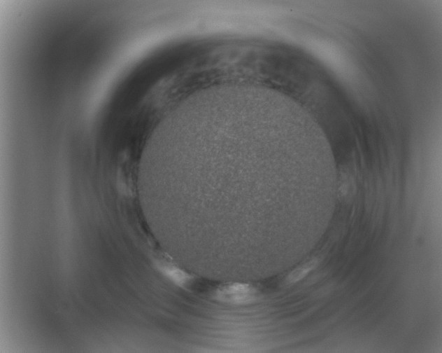 X0000068750431200605051545