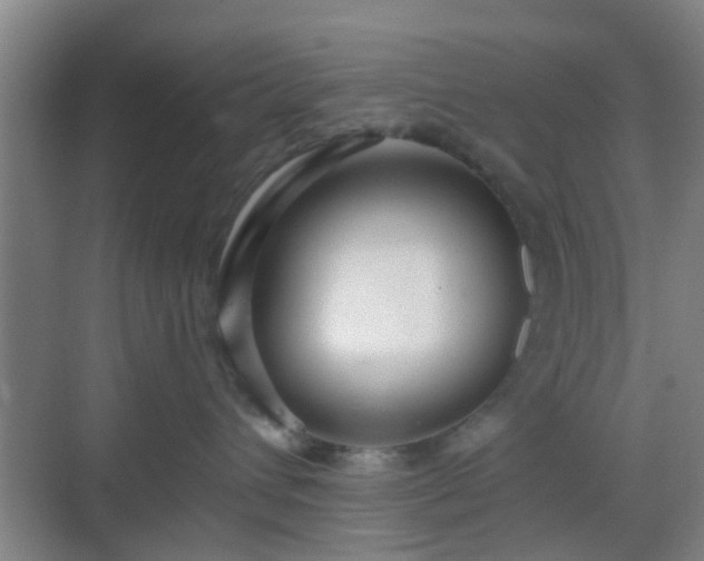 X0000068750432200605051545