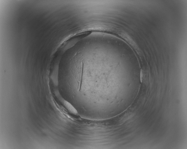 X0000068750434200605051544