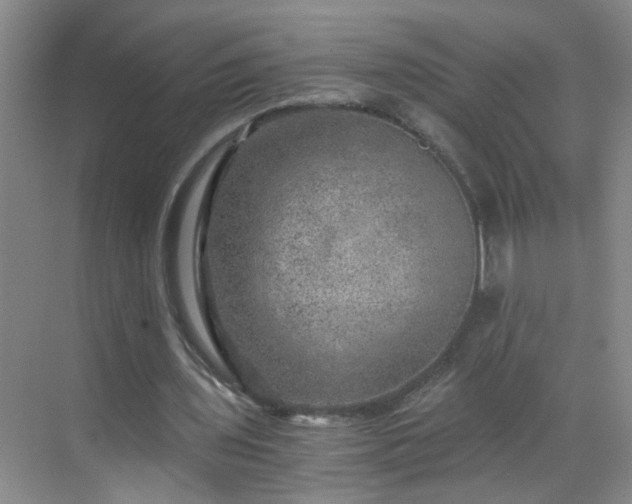 X0000068750435200605051544