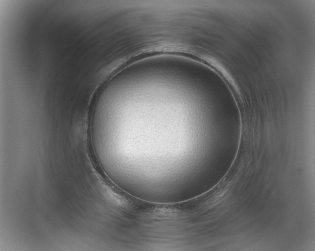 X0000068750437200605051544