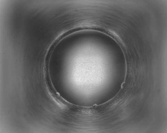 X0000068750439200605051544